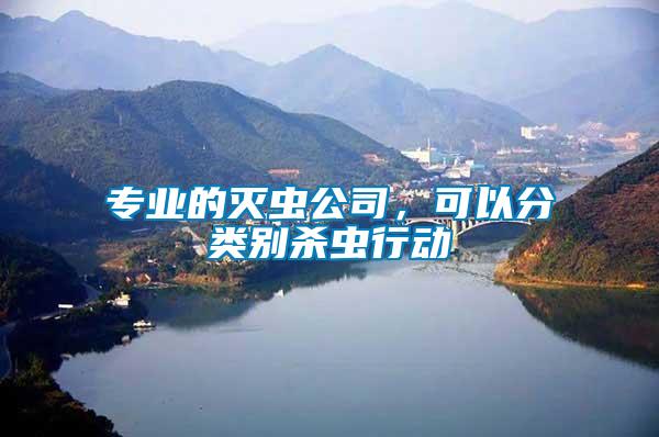 專業(yè)的滅蟲公司，可以分類別殺蟲行動