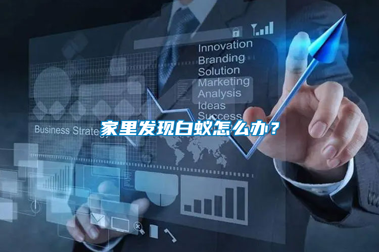 家里發(fā)現(xiàn)白蟻怎么辦？