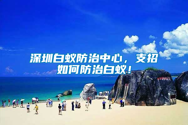 深圳白蟻防治中心，支招如何防治白蟻！