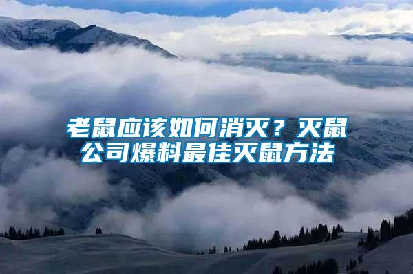 老鼠應(yīng)該如何消滅？滅鼠公司爆料最佳滅鼠方法