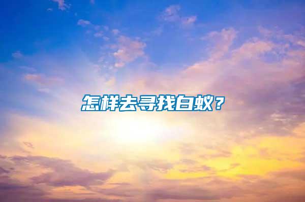 怎樣去尋找白蟻？