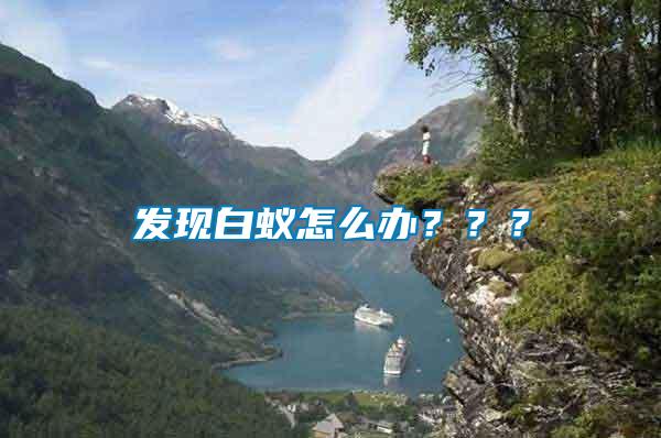 發(fā)現(xiàn)白蟻怎么辦？？？