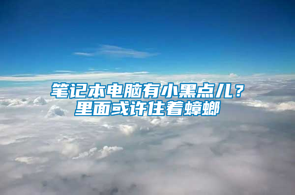 筆記本電腦有小黑點兒？里面或許住著蟑螂