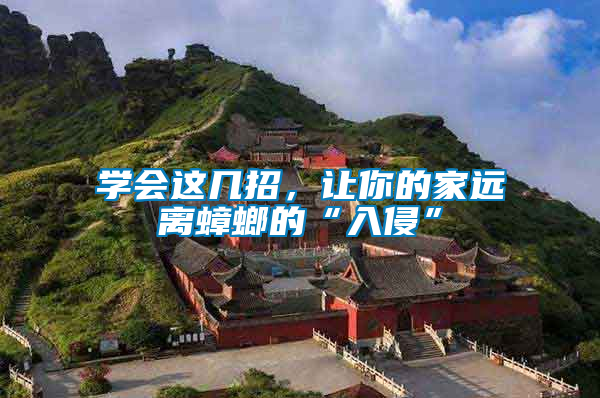 學會這幾招，讓你的家遠離蟑螂的“入侵”