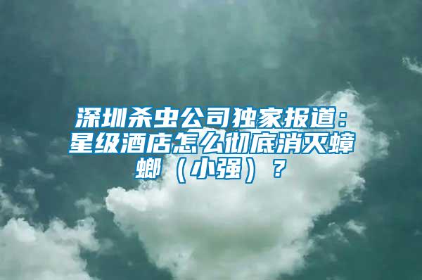 深圳殺蟲公司獨(dú)家報(bào)道：星級(jí)酒店怎么徹底消滅蟑螂（小強(qiáng)）？