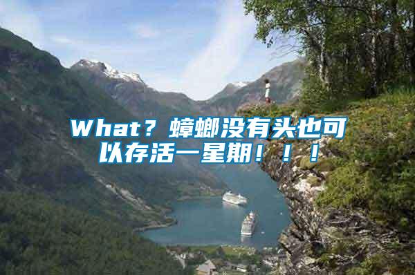 What？蟑螂沒有頭也可以存活一星期?。。?/></p>
             <p style=