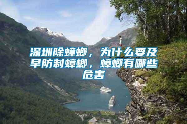 深圳除蟑螂，為什么要及早防制蟑螂，蟑螂有哪些危害