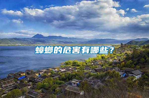 蟑螂的危害有哪些？