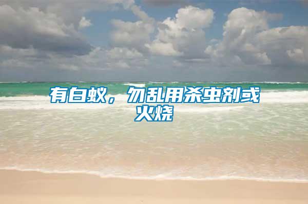 有白蟻，勿亂用殺蟲劑或火燒