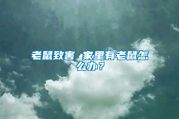 老鼠致害 家里有老鼠怎么辦？
