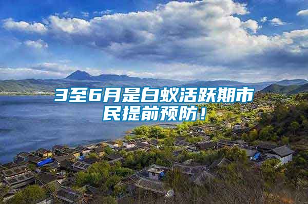 3至6月是白蟻活躍期市民提前預(yù)防！