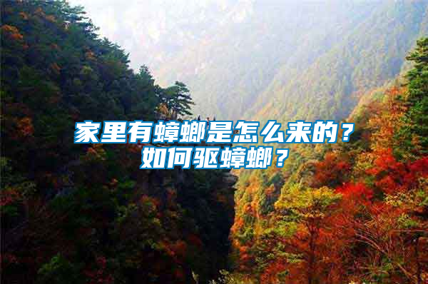 家里有蟑螂是怎么來(lái)的？如何驅(qū)蟑螂？