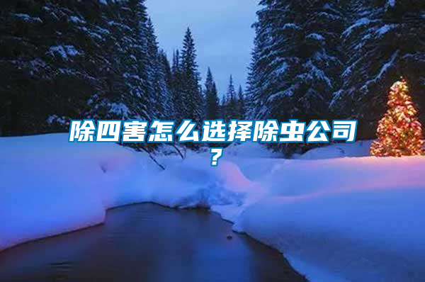 除四害怎么選擇除蟲(chóng)公司？