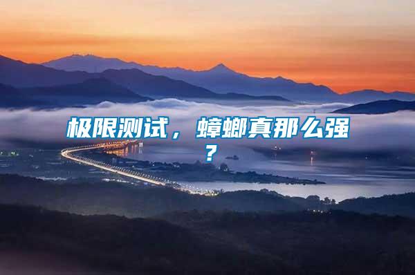 極限測試，蟑螂真那么強？