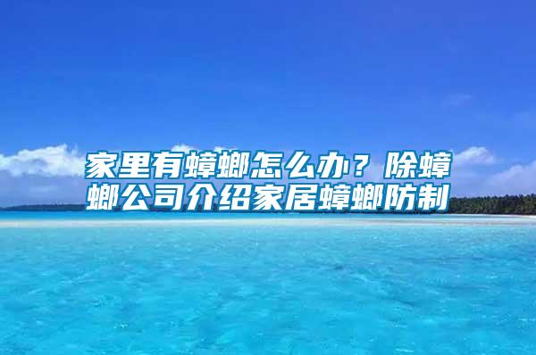 家里有蟑螂怎么辦？除蟑螂公司介紹家居蟑螂防制