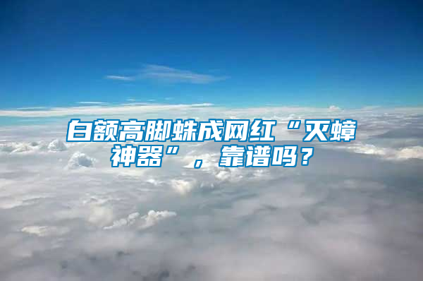 白額高腳蛛成網(wǎng)紅“滅蟑神器”，靠譜嗎？