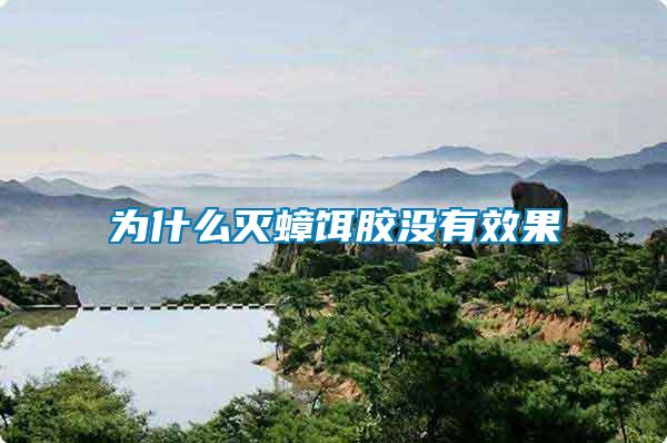 為什么滅蟑餌膠沒(méi)有效果