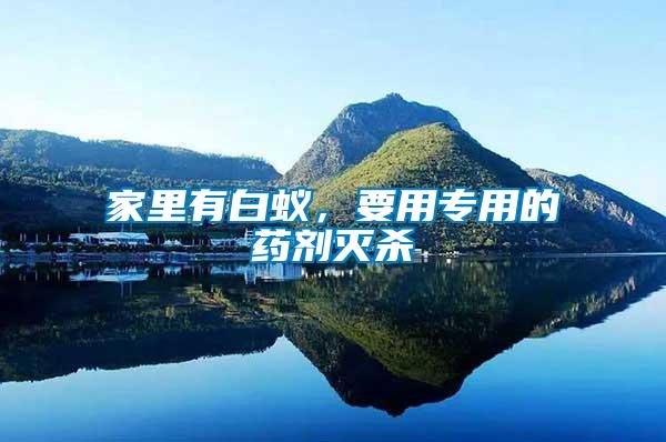 家里有白蟻，要用專用的藥劑滅殺