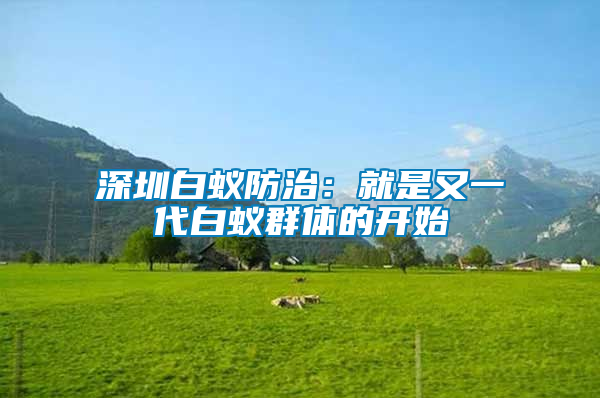 深圳白蟻防治：就是又一代白蟻群體的開(kāi)始