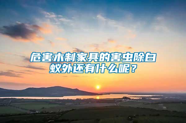 危害木制家具的害蟲除白蟻外還有什么呢？