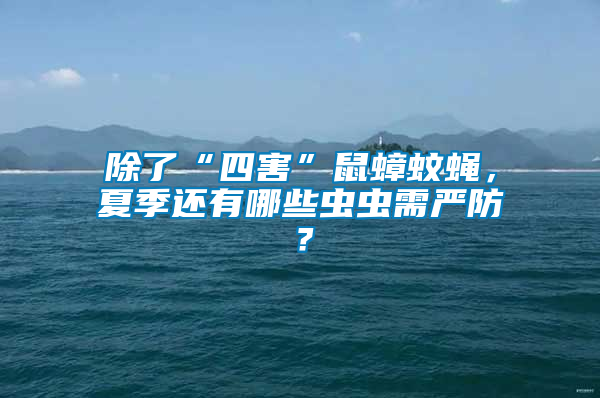 除了“四害”鼠蟑蚊蠅，夏季還有哪些蟲蟲需嚴防？