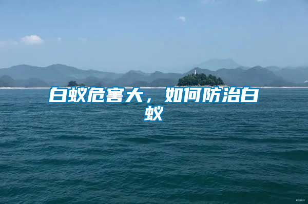白蟻危害大，如何防治白蟻