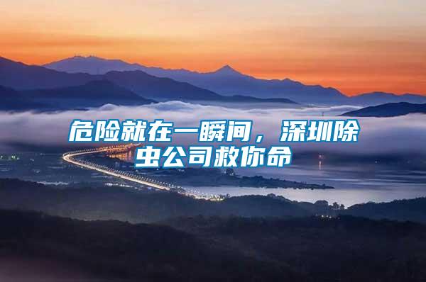 危險(xiǎn)就在一瞬間，深圳除蟲公司救你命