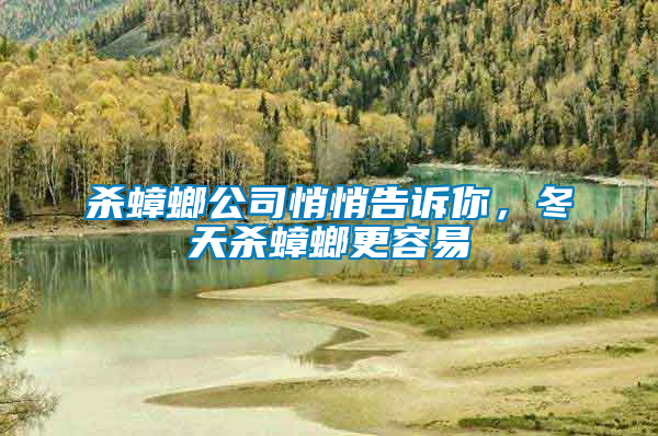 殺蟑螂公司悄悄告訴你，冬天殺蟑螂更容易