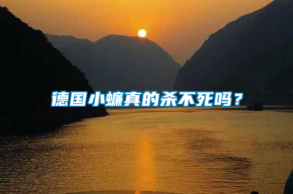 德國(guó)小蠊真的殺不死嗎？