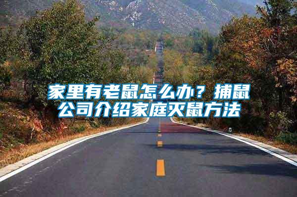 家里有老鼠怎么辦？捕鼠公司介紹家庭滅鼠方法