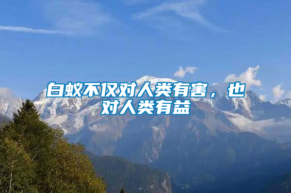 白蟻不僅對(duì)人類有害，也對(duì)人類有益