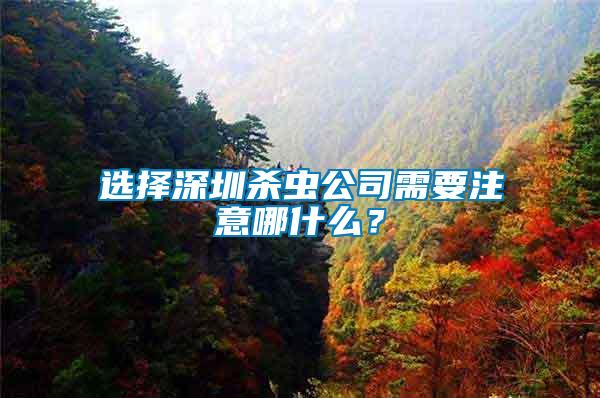 選擇深圳殺蟲公司需要注意哪什么？