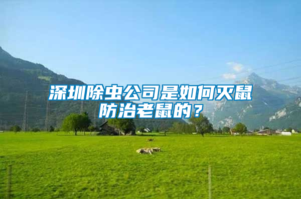 深圳除蟲(chóng)公司是如何滅鼠防治老鼠的？