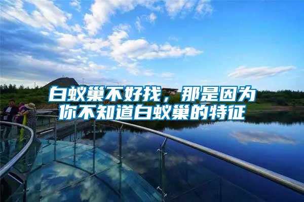 白蟻巢不好找，那是因?yàn)槟悴恢腊紫伋驳奶卣?/></p>
             <p style=