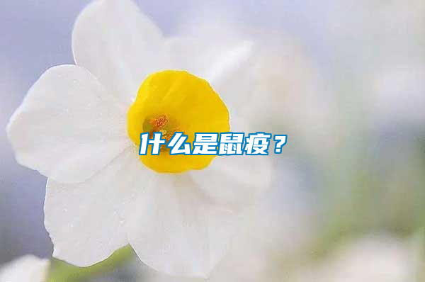 什么是鼠疫？