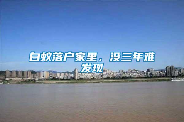 白蟻落戶家里，沒(méi)三年難發(fā)現(xiàn)