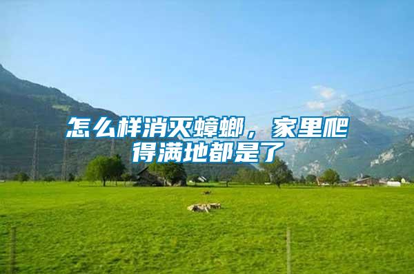 怎么樣消滅蟑螂，家里爬得滿地都是了