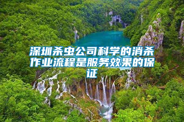 深圳殺蟲公司科學的消殺作業(yè)流程是服務(wù)效果的保證