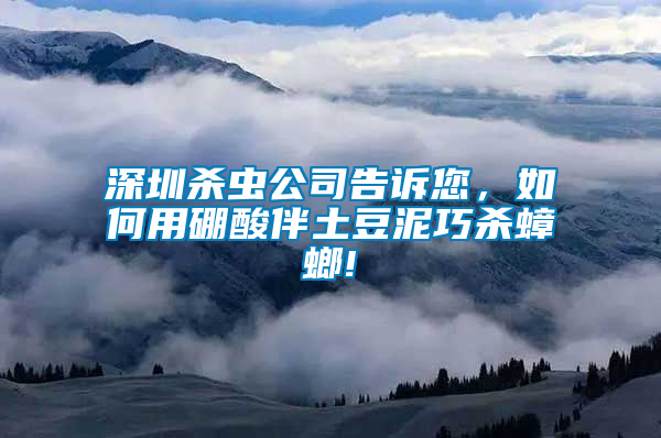深圳殺蟲公司告訴您，如何用硼酸伴土豆泥巧殺蟑螂!