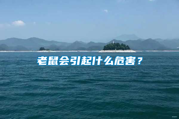 老鼠會引起什么危害？