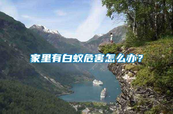 家里有白蟻危害怎么辦？
