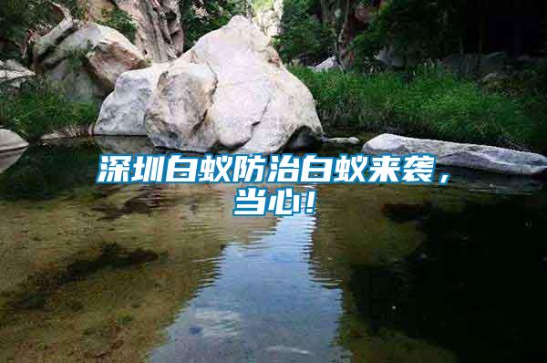 深圳白蟻防治白蟻來襲，當心！