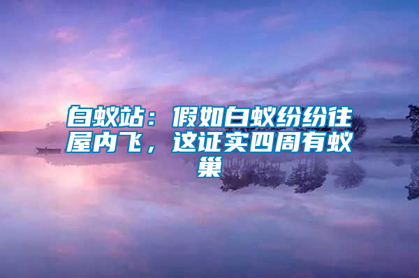 白蟻站：假如白蟻紛紛往屋內(nèi)飛，這證實(shí)四周有蟻巢