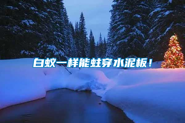 白蟻一樣能蛀穿水泥板！