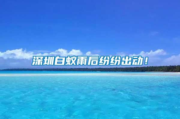 深圳白蟻雨后紛紛出動(dòng)！