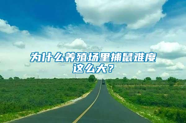 為什么養(yǎng)殖場里捕鼠難度這么大？