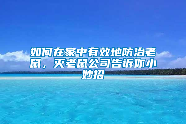 如何在家中有效地防治老鼠，滅老鼠公司告訴你小妙招