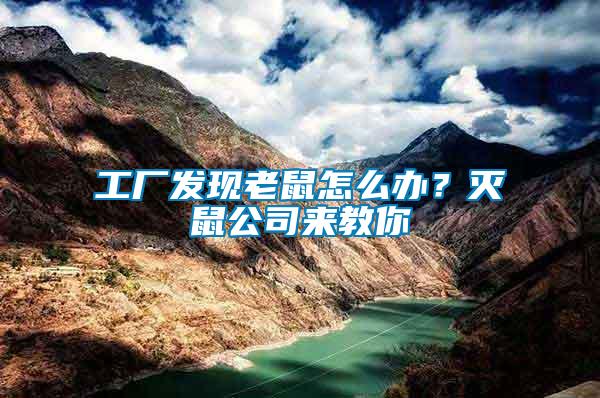 工廠發(fā)現(xiàn)老鼠怎么辦？滅鼠公司來教你