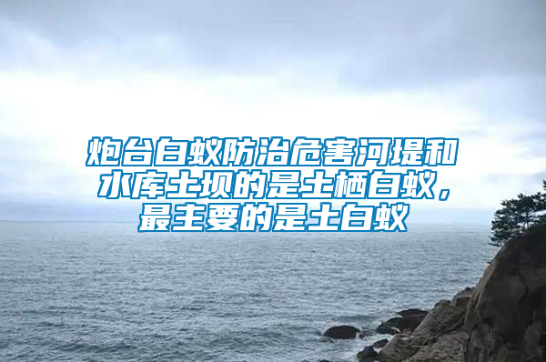炮臺(tái)白蟻防治危害河堤和水庫土壩的是土棲白蟻，最主要的是土白蟻