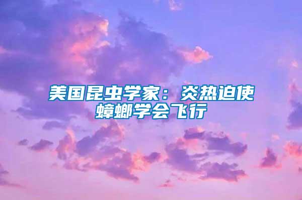 美國昆蟲學(xué)家：炎熱迫使蟑螂學(xué)會(huì)飛行